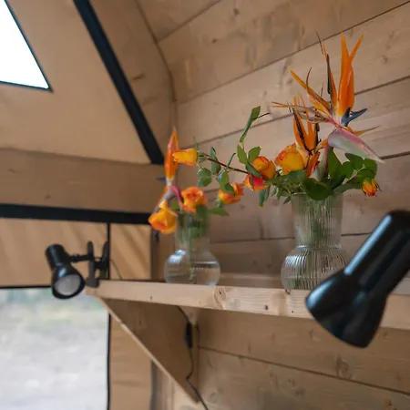 럭셔리텐트 Agriglamping Butterfly House Sardegna *