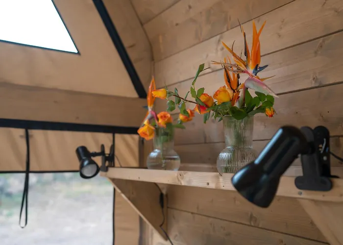 豪华帐篷 Agriglamping Butterfly House Sardegna *